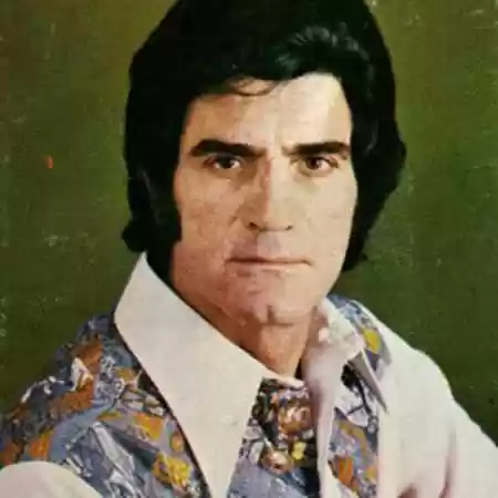 دانلود آهنگ ویگن دل دیوانه